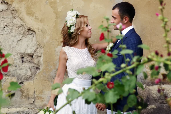 Novia encantadora y elegante novio de pie cerca de flores de arbusto —  Fotos de Stock