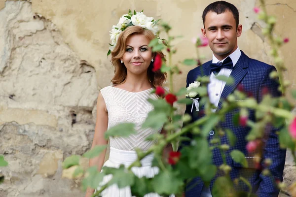 Novia encantadora y elegante novio de pie cerca de flores de arbusto — Foto de Stock