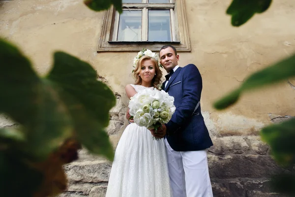 Charming bride and stylish groom standing near bush flowers — Stock Photo, Image