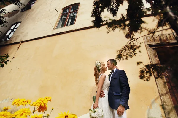 Charming bride and stylish groom standing near bush flowers — Stock Photo, Image