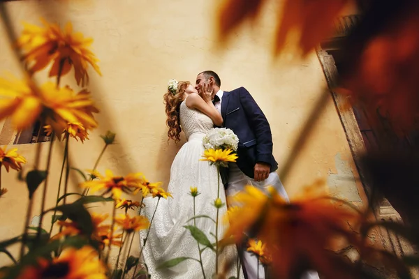 Noiva encantadora e noivo elegante que está perto de flores de arbusto — Fotografia de Stock