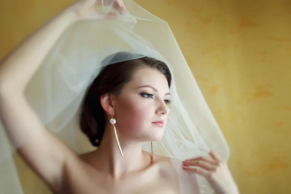 Retrato de jovem mulher em vestido de noiva posando com véu de noiva — Fotografia de Stock