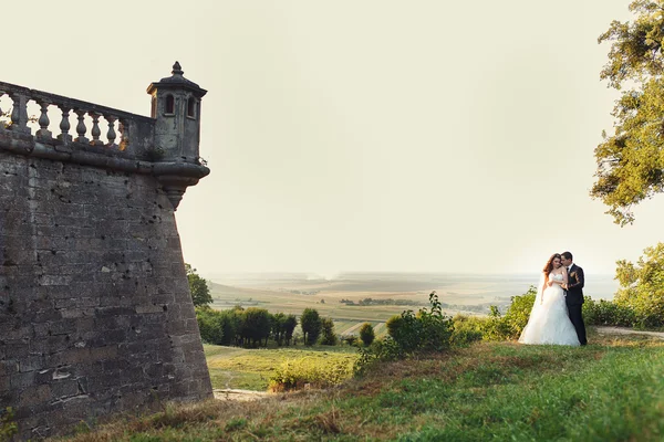 两夫妇在开展自评、 城堡附近的公园里的婚礼之后 — 图库照片