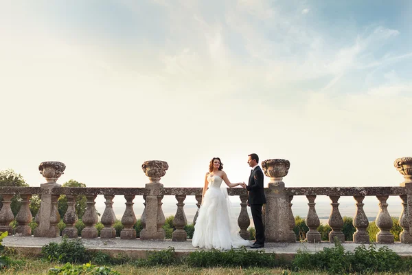 Dos parejas después de la boda en el parque tne cerca del castillo — Foto de Stock