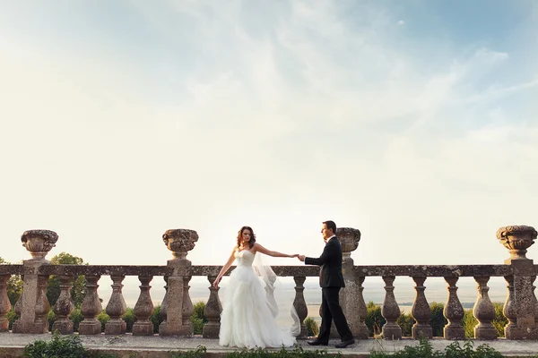 Dois casais após o casamento no parque tne perto do castelo — Fotografia de Stock