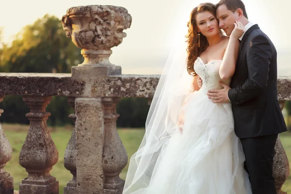 Dos parejas después de la boda en el parque tne cerca del castillo — Foto de Stock