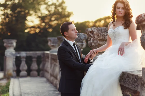 Dos parejas después de la boda en el parque tne cerca del castillo — Foto de Stock