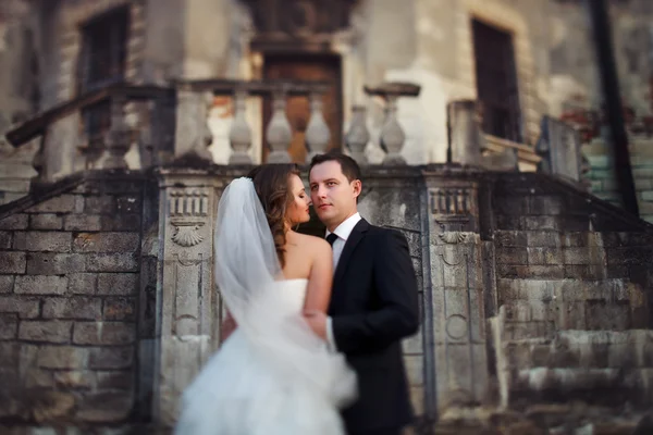 Dos parejas después de la boda en el parque tne cerca del castillo —  Fotos de Stock