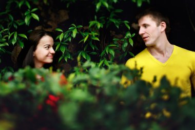 seven Roma İtalya çalılar arasında Vatikan Müzesinin bahçesinde Çift