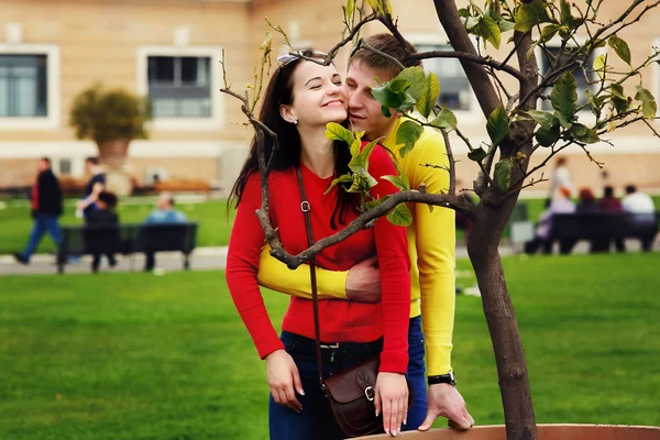 Liefdevolle paar vergadering in de buurt van citroen boom in de tuin van het Vaticaanse Museum — Stockfoto