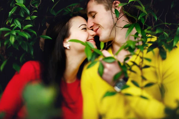 Milující pár v zahradě muzea Vatikán v Římě mezi keři — Stock fotografie