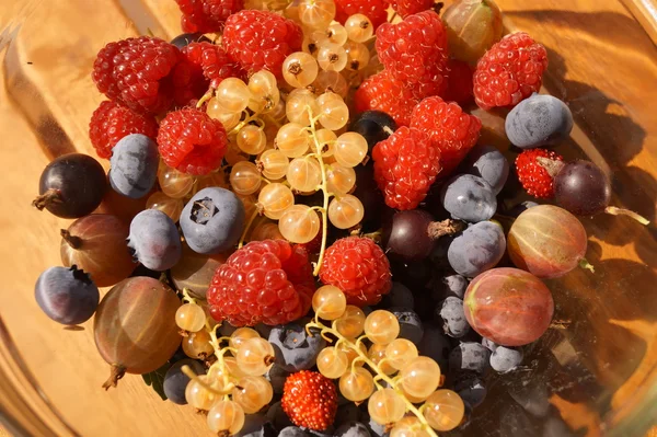 Beeren der Sommerzeit — Stockfoto