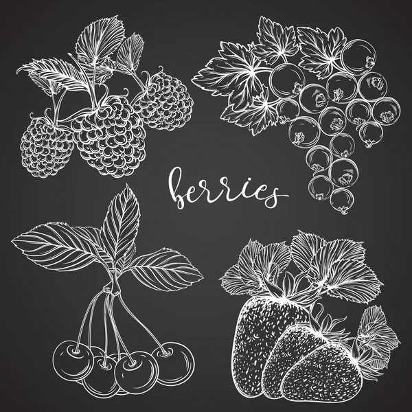 Collection of berries on chalkboard. Strawberries, cherries, currants, raspberries. Isolated elements. Vintage black and white hand drawn vector illustration — Stock Vector