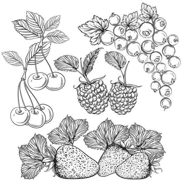 果実のコレクションです。イチゴ、チェリー、スグリ、ラズベリー。孤立した要素。ヴィンテージの黒と白手描きベクトル図 — ストックベクタ