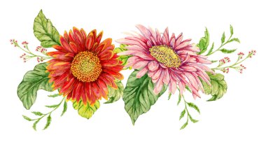 Suluboya gerbera çiçek çelenk. Elle çizilmiş illüstrasyon