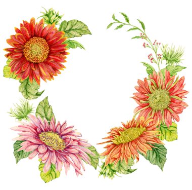 Suluboya gerbera çiçek çelenk. Elle çizilmiş illüstrasyon