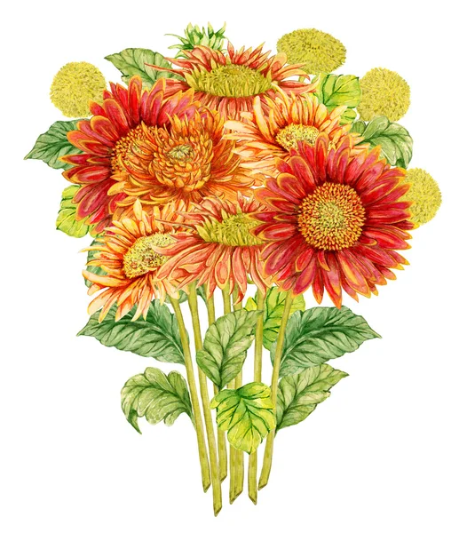 Kytice s květem akvarel gerbera. Ručně kreslenou ilustrace — Stock fotografie