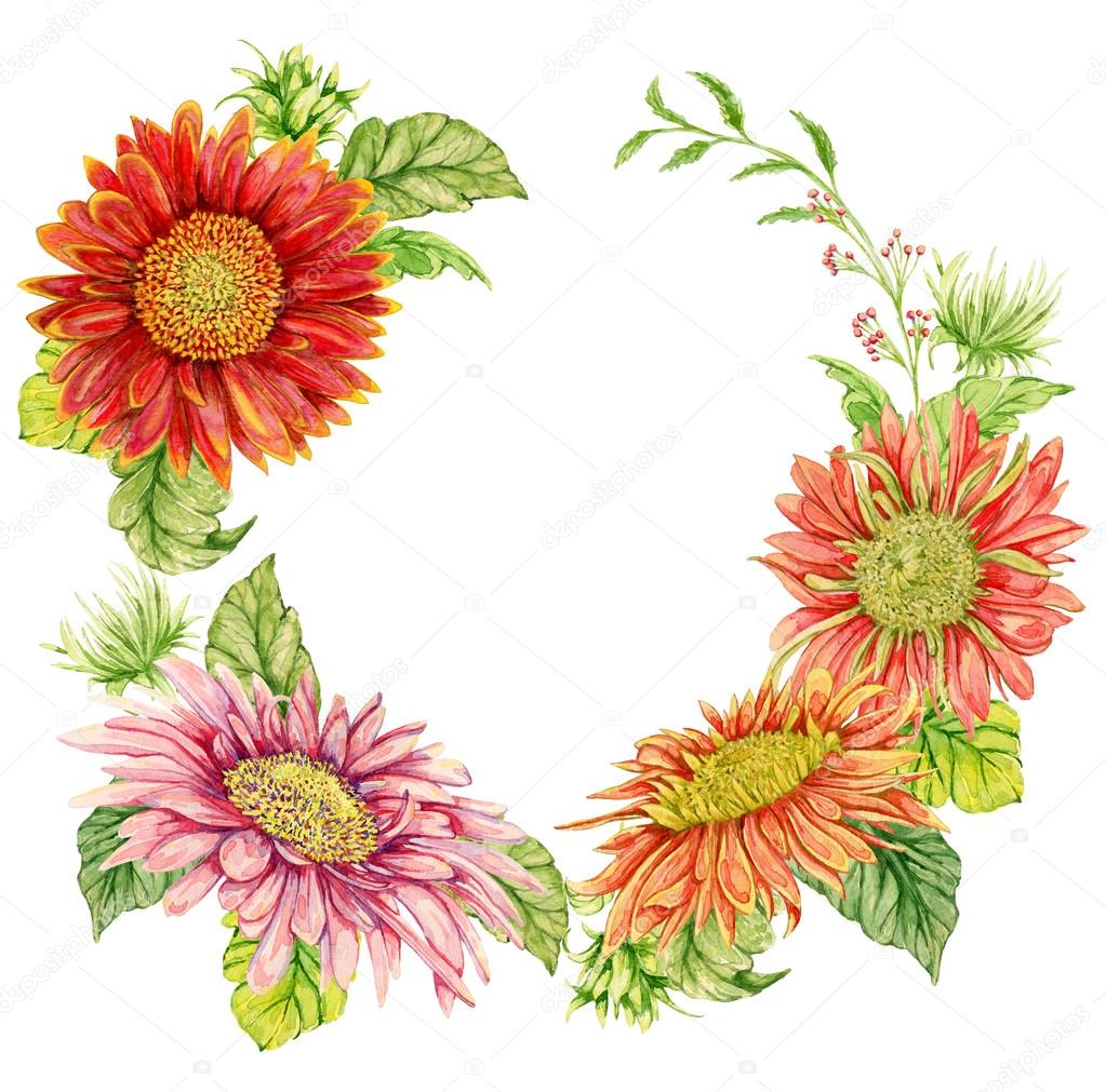 水彩のガーベラの花と花輪 手描きイラスト ストック写真 C Kateja 水彩のガーベラの花と花輪 手描きイラスト ストック写真 C Kateja