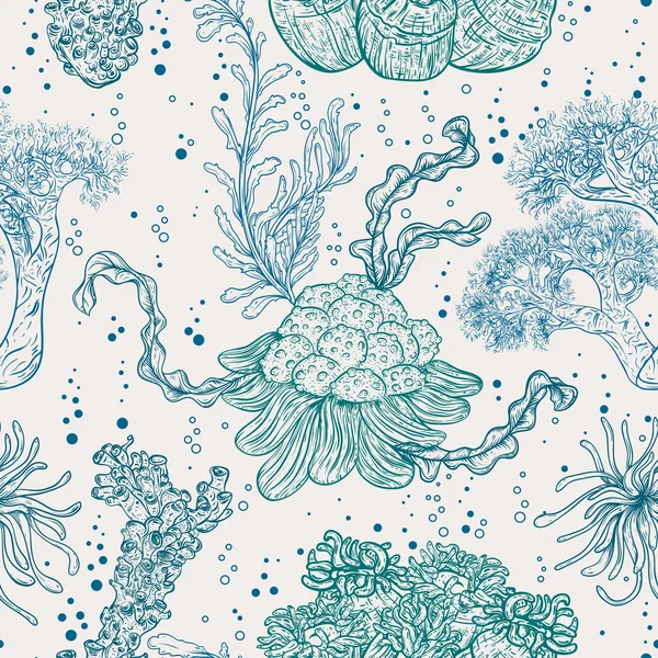 Deniz bitki, yaprak ve deniz yosunu topluluğu. Vintage seamless modeli el çekilmiş deniz flora ile. Vektör çizim satırı sanat tarzı. Yaz plaj, dekorasyon için tasarım. — Stok Vektör