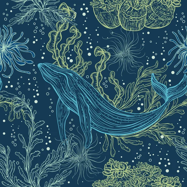 Naadloos patroon met walvis, mariene planten en zeewieren. Vintage hand getrokken mariene leven. Vector illustratie — Stockvector