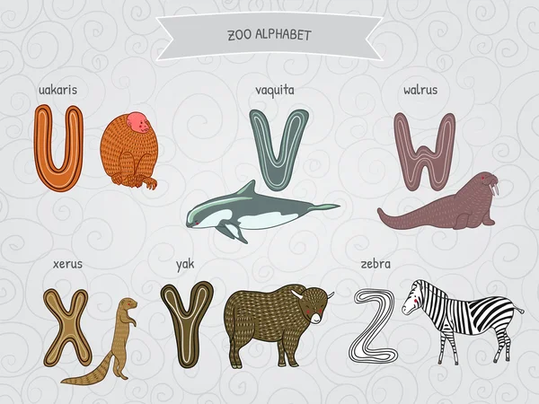 Roztomilý kreslený legrační zoo abeceda ve vektoru. U, v, w, x, y, z dopisů. Uakaris, Pavel, mrož, xerus, yak, zebra. Design ve stylu barevné. — Stockový vektor