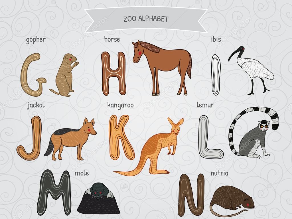 Cute Cartoon Funny Zoo Alphabet In Vector G H I J K L M N Letters Gopher Horse Ibis Jackal Kangaroo Lemur Mole Nutria Design In A Colorful Style Vector Image