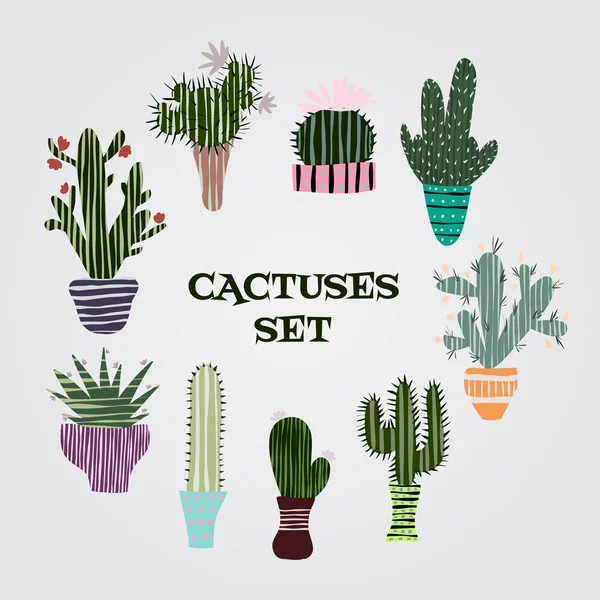 Ilustración plana y colorida de plantas suculentas y cactus en macetas. Conjunto gráfico botánico vectorial con flores lindas . — Vector de stock