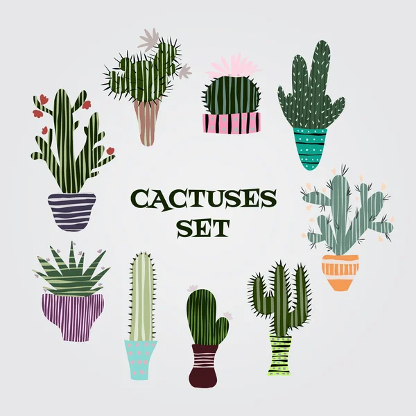 Ilustração colorida plana de plantas suculentas e cactos em vasos. Conjunto gráfico botânico vetorial com florais bonitos . — Vetor de Stock