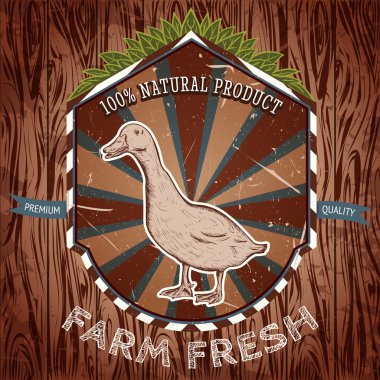 organic farm fresh. Vintage label with duck. Hand drawn vector illustration poster in sketch style