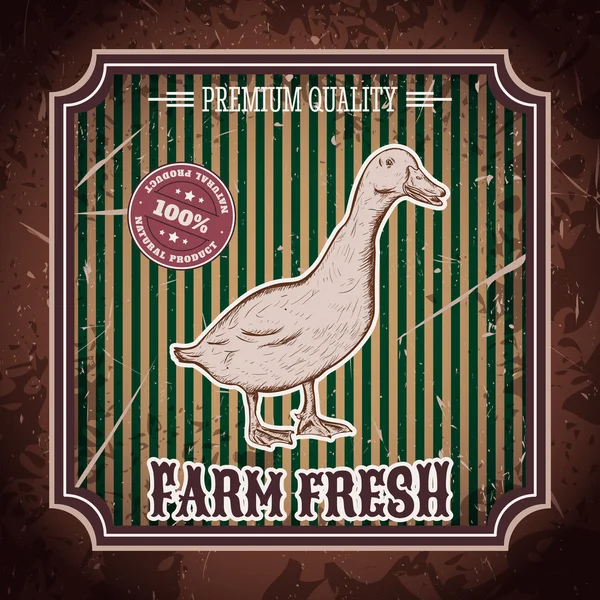 Fazenda orgânica fresca. Rótulo vintage com pato. Cartaz de ilustração vetorial desenhado à mão em estilo esboço — Vetor de Stock