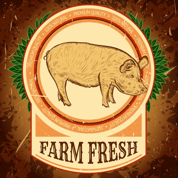 Fazenda orgânica fresca. Rótulo vintage com porco no fundo grunge. Cartaz de ilustração vetorial desenhado à mão em estilo esboço — Vetor de Stock