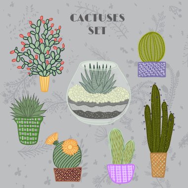 Flat colorful illustration of succulent plants and cactuses in pots and aquarium. Vector botanical graphic set with cute florals.