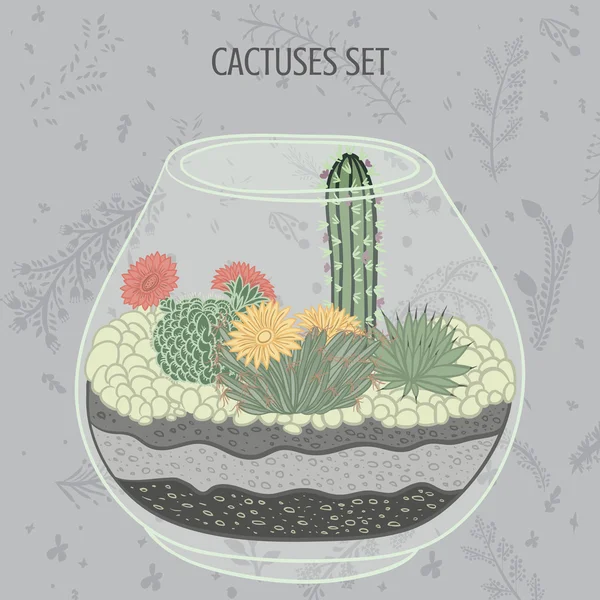 Illustrazione piatta colorata di piante succulente e cactus in acquario. Insieme grafico botanico vettoriale con simpatici fiori . — Vettoriale Stock