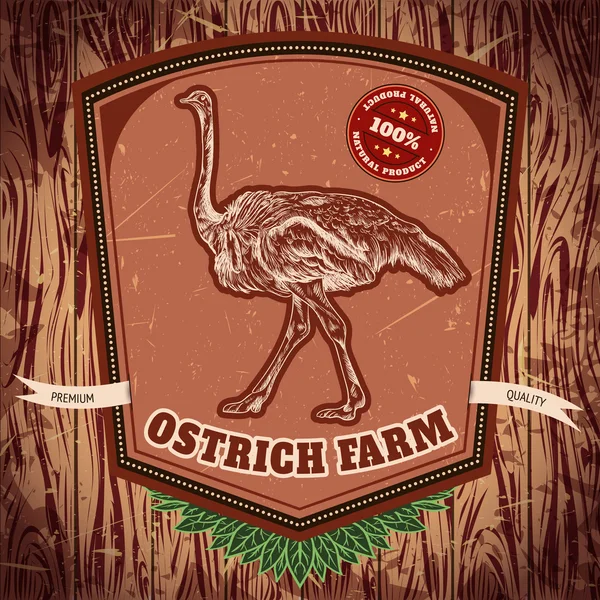 Organic farm vintage label with ostrich on the grunge background. Retro hand drawn vector illustration poster in sketch style — Stock Vector