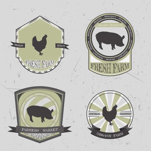 Biologische boerderij vers. Vintage labels en badges met varkensvlees en kip op grunge achtergrond. Hand getrokken vector illustratie poster — Stockvector