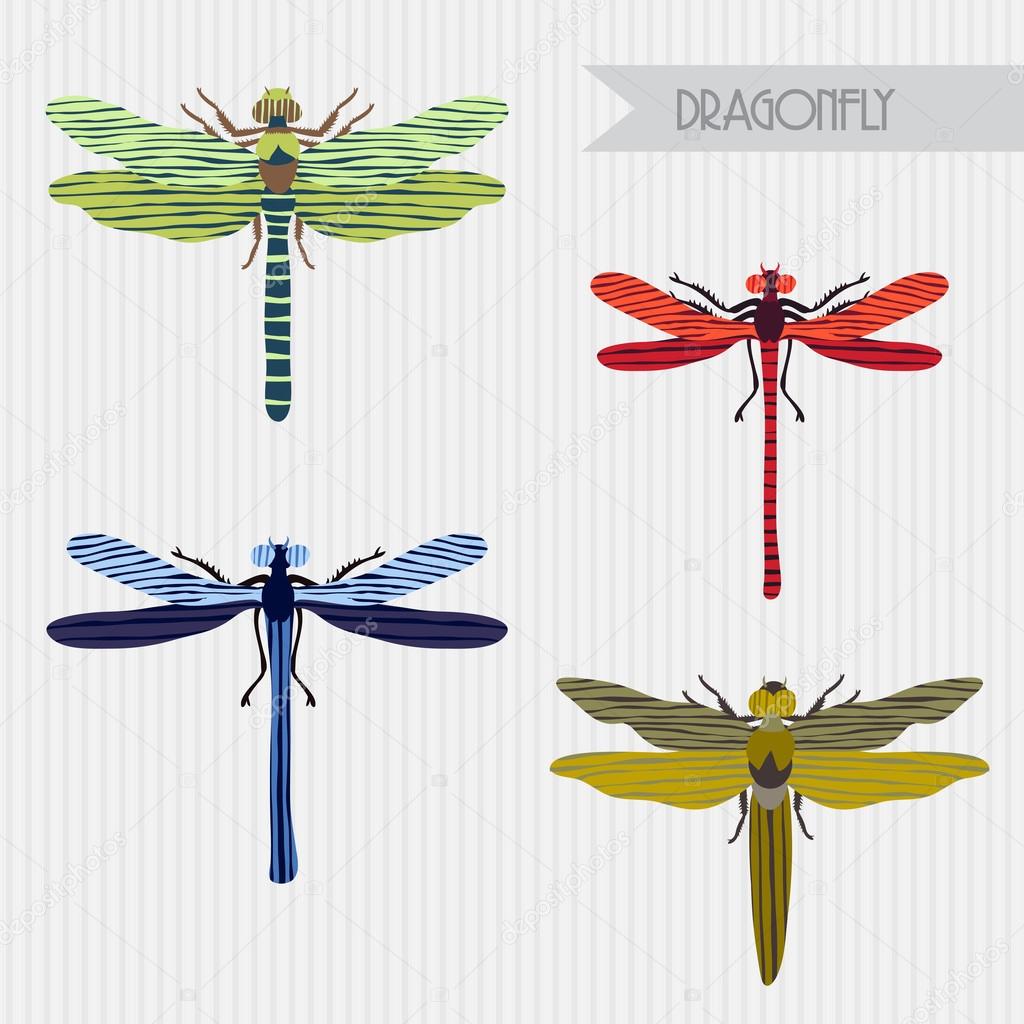 Flat colorful illustration of dragonfly collection. Vector botanical graphic set.