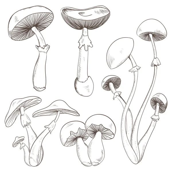 Stel met een verscheidenheid van vintage paddestoelen. Retro hand getekend vectorillustratie — Stockvector