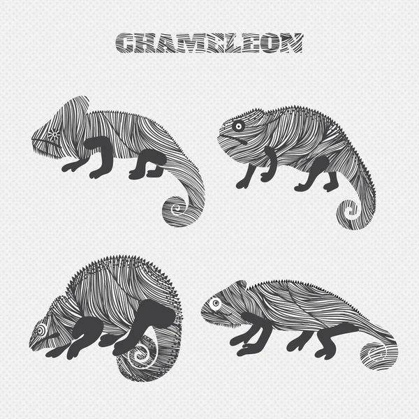 Chameleon set collection. Stickers, posters, background. Vector illustration — Stock Vector