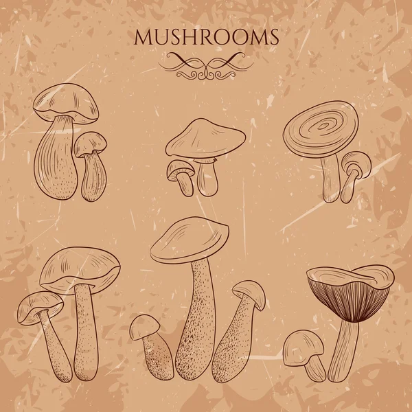 Conjunto com uma variedade de cogumelos vintage. Ilustração vetorial retrô desenhada à mão — Vetor de Stock