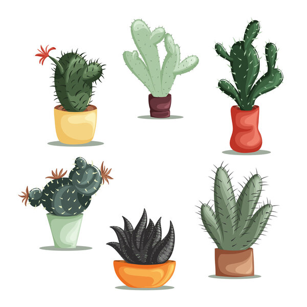 Colorful illustration of succulent plants and cactuses in pots. Vector botanical graphic set with cute florals.