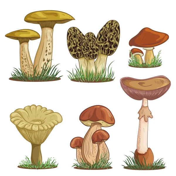 Набір з різноманітними вінтажними барвистими реалістичними грибами. Ретро рука намальована Векторні ілюстрації — стоковий вектор