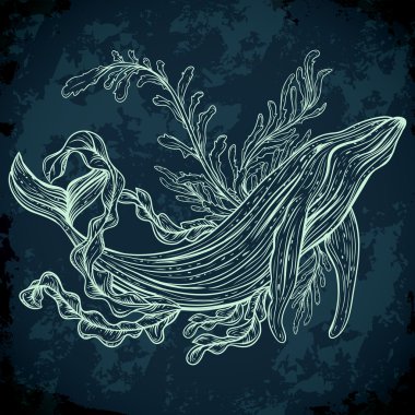 Collection of whale, marine plants, leaves and seaweed. Vintage set of black and white hand drawn marine life. Isolated vector illustration in line art style.Design for summer beach, decorations.