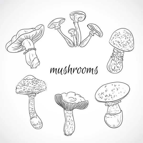 Stel met een verscheidenheid van vintage paddestoelen. Collectie van retro zwart-wit hand getrokken vectorillustratie. Kaart afdrukken, briefkaart, poster. — Stockvector