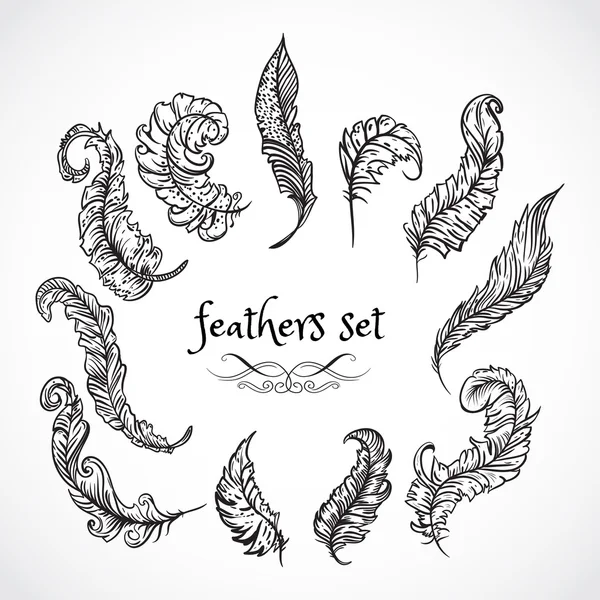 Feathers set. Collection of retro black and white hand drawn vector illustration. Card, print, postcard, poster, logo, tattoo — Stock Vector