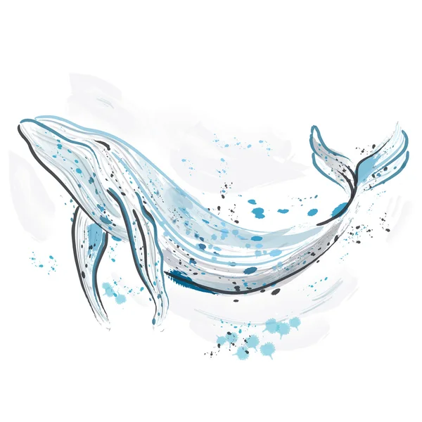 Walvis. Retro hand getekend vectorillustratie. Kaart, afdrukken, briefkaart, t-shirt, poster. — Stockvector