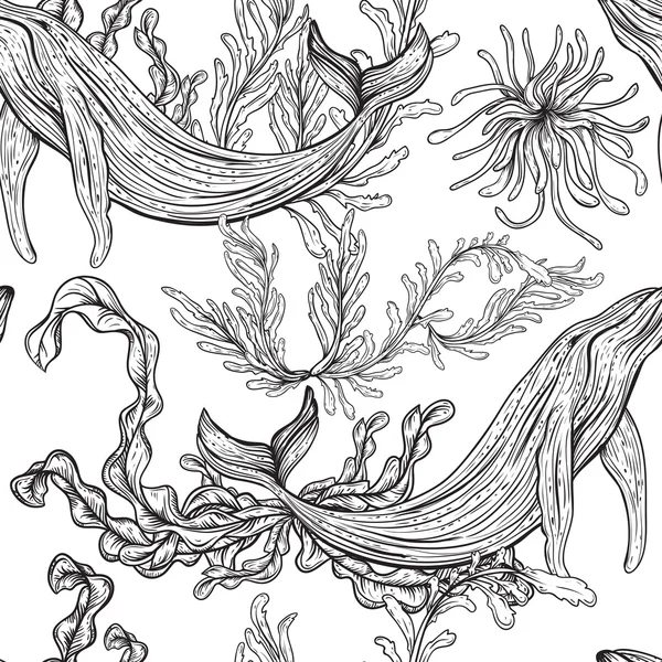 Seamless pattern with whale, marine plants and seaweeds.Vintage set of black and white hand drawn marine life.Isolated vector illustration in line art style.Design for summer beach, decorations. — Stockvector