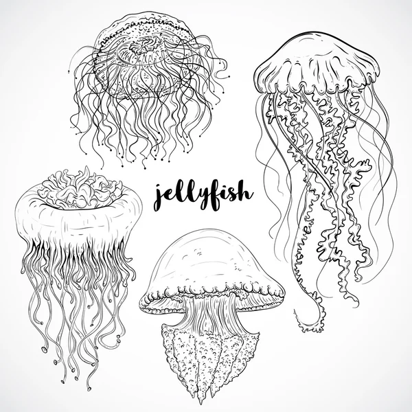 Coleção de medusas. Conjunto vintage de fauna marinha desenhada à mão preta e branca. Isolado vetor ilustração em linha arte style.Design para praia de verão, decorações . — Vetor de Stock