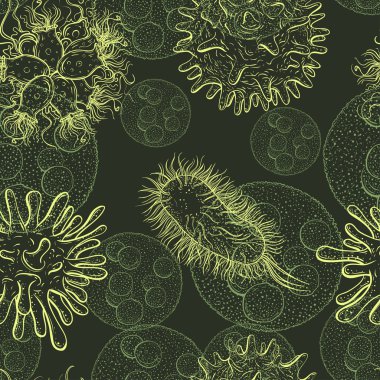 Seamless pattern with microbes and viruses. Vintage design set. Realistic isolated hand drawn vector illustration.