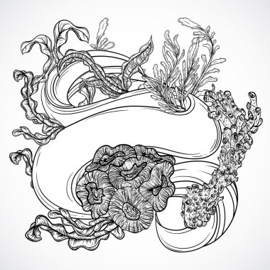 Collection of marine plants, seaweed, corals with ribbon banner. Vintage set of black and white hand drawn marine flora. Isolated vector illustration. Design for summer beach, decorations.