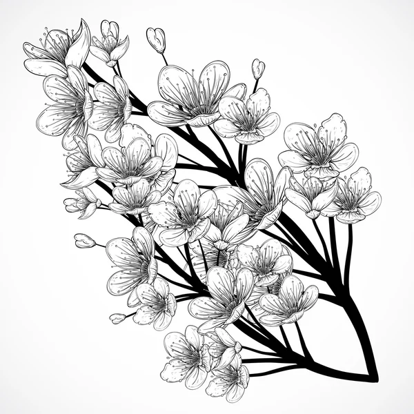 Les cerisiers fleurissent. Illustration vectorielle vintage dessinée à la main en noir et blanc dans un style esquisse. Éléments isolés . — Image vectorielle